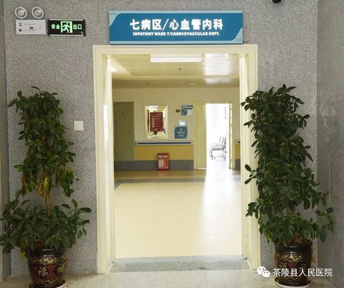 国庆假期,病房里最美的"风景"—患者盛赞茶陵县人民医院心内科优质